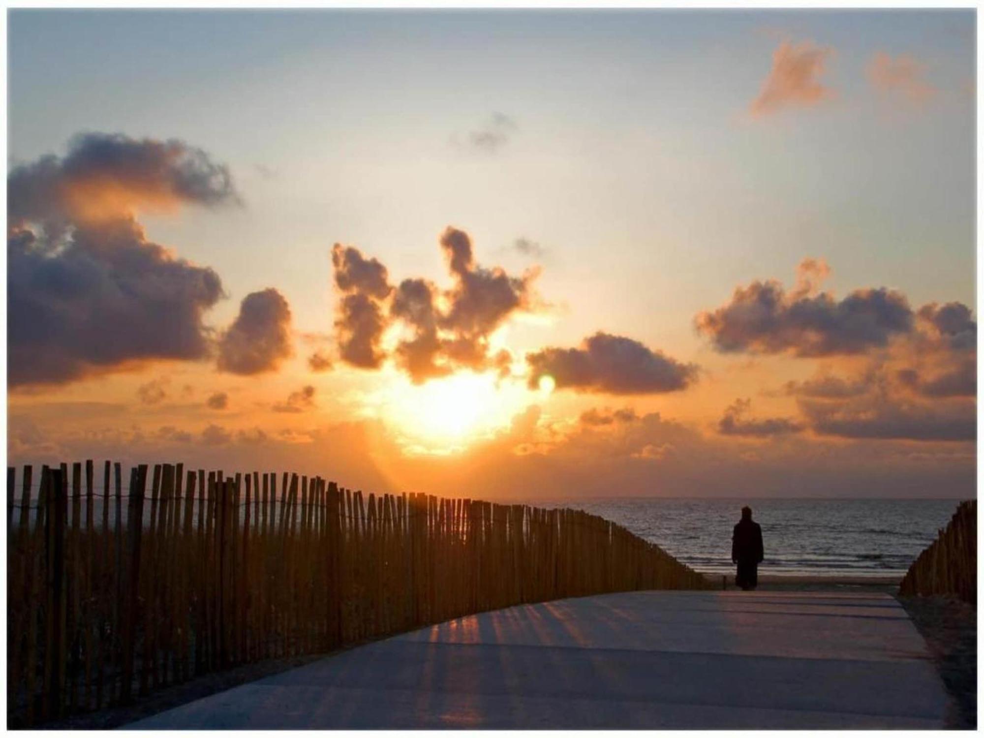 Stunning Holiday Home In Noordwijk Near Beach ภายนอก รูปภาพ