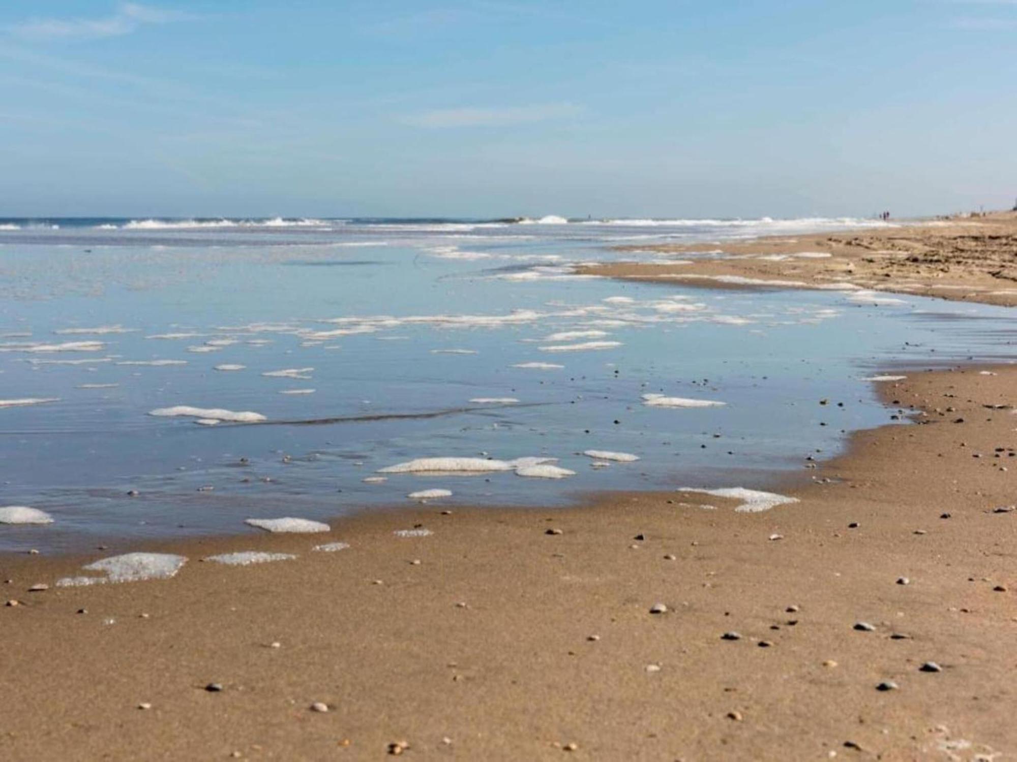 Stunning Holiday Home In Noordwijk Near Beach ภายนอก รูปภาพ